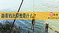 《路亚钓法原理是什么？》封面图
