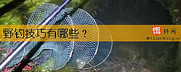 野钓技巧有哪些