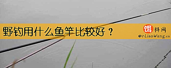 野钓用什么鱼竿比较好