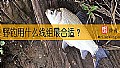 野钓用什么线组最合适？