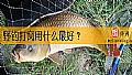 《野钓打窝用什么最好？》封面图