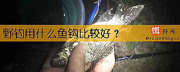 野钓用什么鱼钩比较好