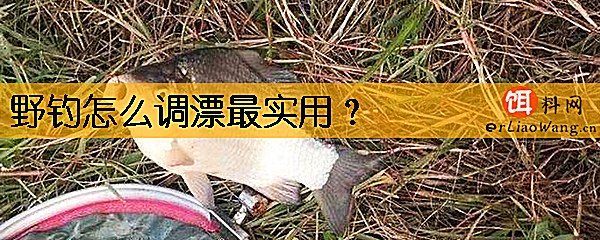 野钓怎么调漂最实用