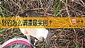 野钓怎么调漂最实用？