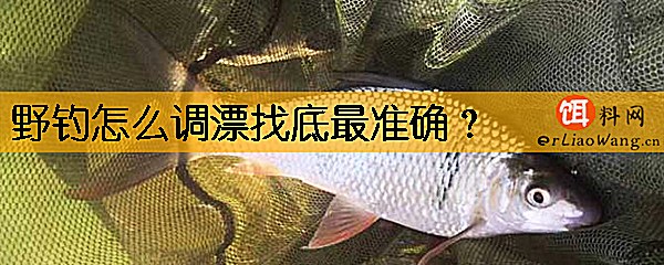 野钓怎么调漂找底最准确