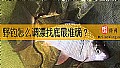 野钓怎么调漂找底最准确？