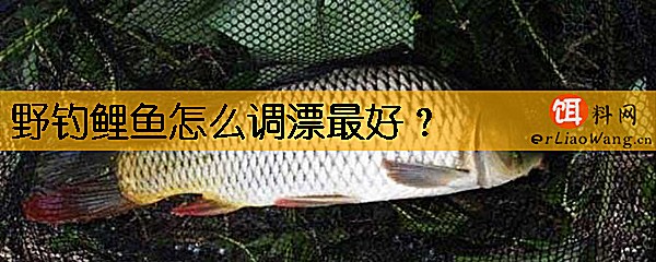 野钓鲤鱼怎么调漂最好