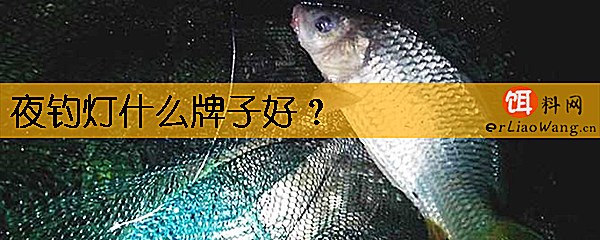 夜钓灯什么牌子好