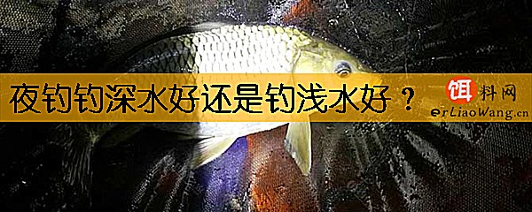 夜钓钓深水好还是钓浅水好