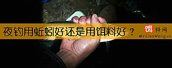 夜钓用蚯蚓好还是用饵料好