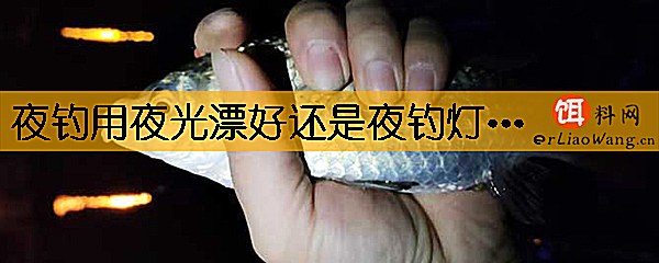 夜钓用夜光漂好还是夜钓灯好