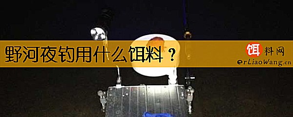 野河夜钓用什么饵料