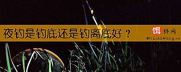 夜钓是钓底还是钓离底好