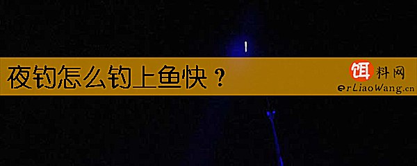 夜钓怎么钓上鱼快