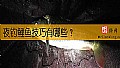 《夜钓鲤鱼技巧有哪些？》封面图