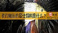 《夜钓鲤鱼的最佳饵料是什么？》封面图