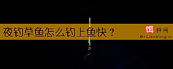 夜钓草鱼怎么钓上鱼快