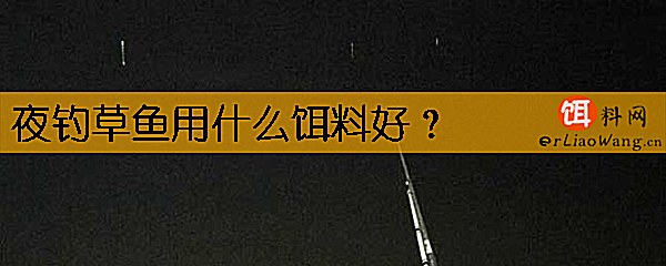 夜钓草鱼用什么饵料好