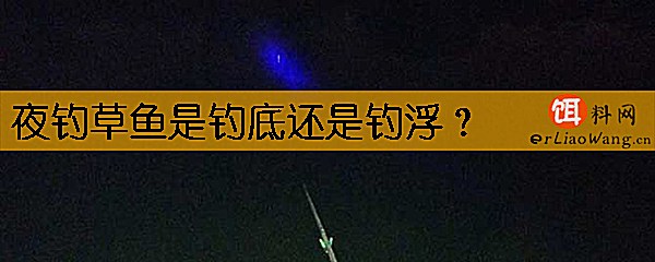 夜钓草鱼是钓底还是钓浮