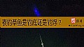 夜钓草鱼是钓底还是钓浮？