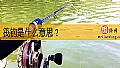 《筏钓是什么意思?》封面图