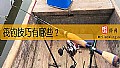 《筏钓技巧有哪些?》封面图
