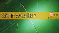 筏钓用什么轮子最好？