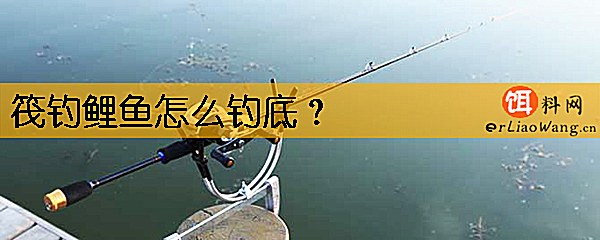 筏钓鲤鱼怎么钓底