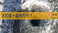 冰钓能不能用筏竿？