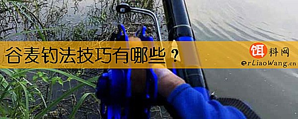 谷麦钓法技巧有哪些