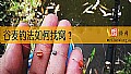《谷麦钓法如何找窝？》封面图