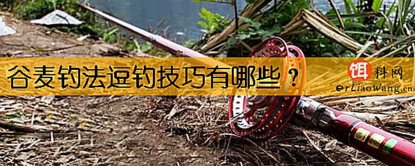 谷麦钓法逗钓技巧有哪些