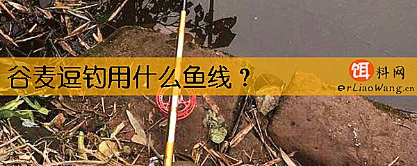 谷麦逗钓用什么鱼线