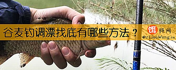 谷麦钓调漂找底有哪些方法