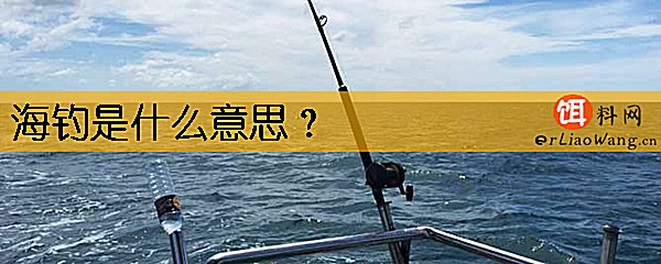 海钓是什么意思