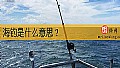 《海钓是什么意思？》封面图