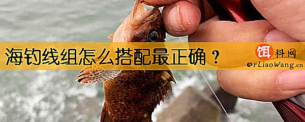 海钓线组怎么搭配最正确