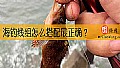 海钓线组怎么搭配最正确？