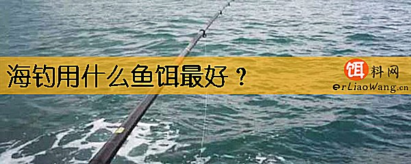 海钓用什么鱼饵最好