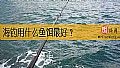 海钓用什么鱼饵最好？