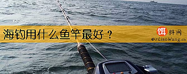 海钓用什么鱼竿最好