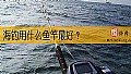 《海钓用什么鱼竿最好？》封面图