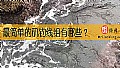 《最简单的矶钓线组有哪些？》封面图