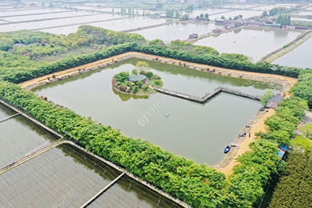 湖州德清小孟钓场