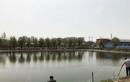 合肥肥西高庄原生态农家乐