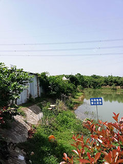 合肥静心雅苑垂钓园