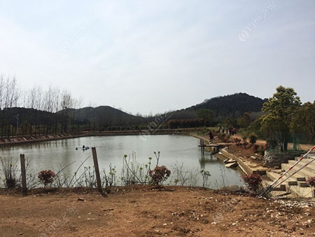 合肥茶山大食堂