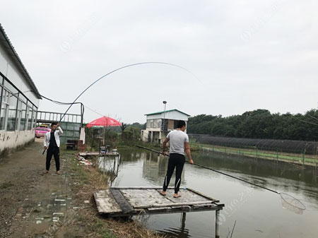 淮南振泰农庄