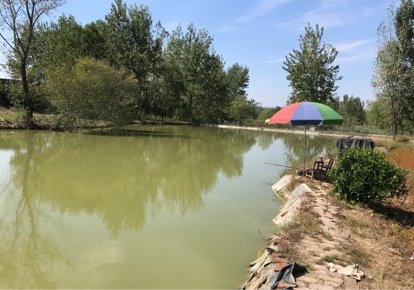 淮南福镇垂钓中心
