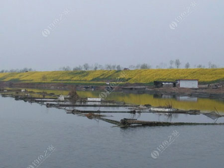 淮南西淝河
